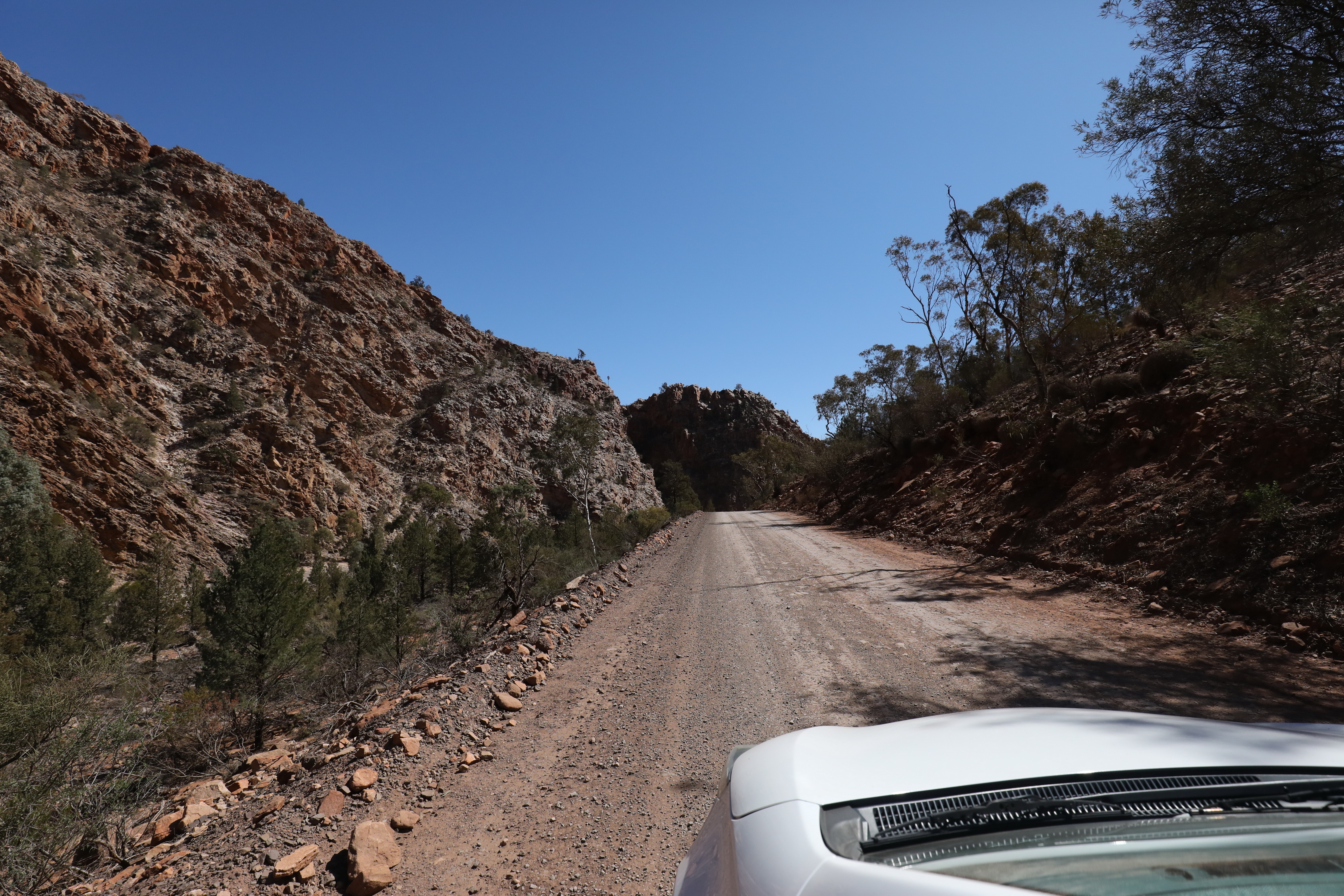 2019 09 01 12 46 18 Canon EOS 5D Mark IV 0017